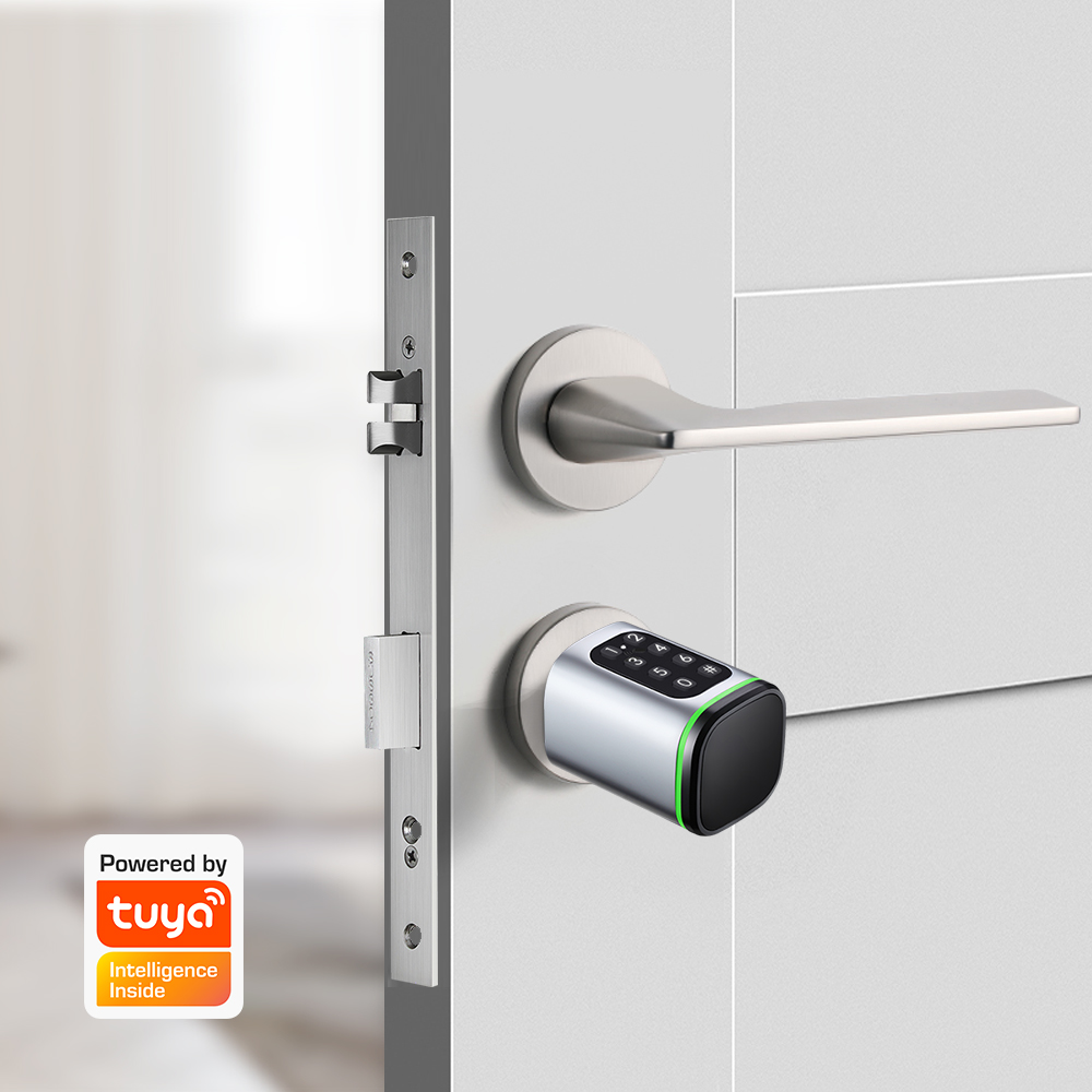 Tuya-スマートデジタルドアロック,彫り込み,デッドボルト - Smart Home Door Lock のレビューと価格